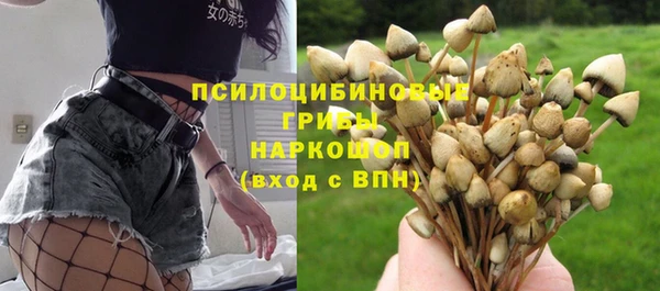 дживик Семикаракорск