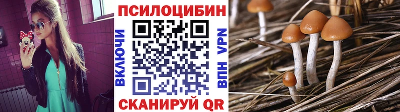 Псилоцибиновые грибы Psilocybine cubensis  Лесозаводск 